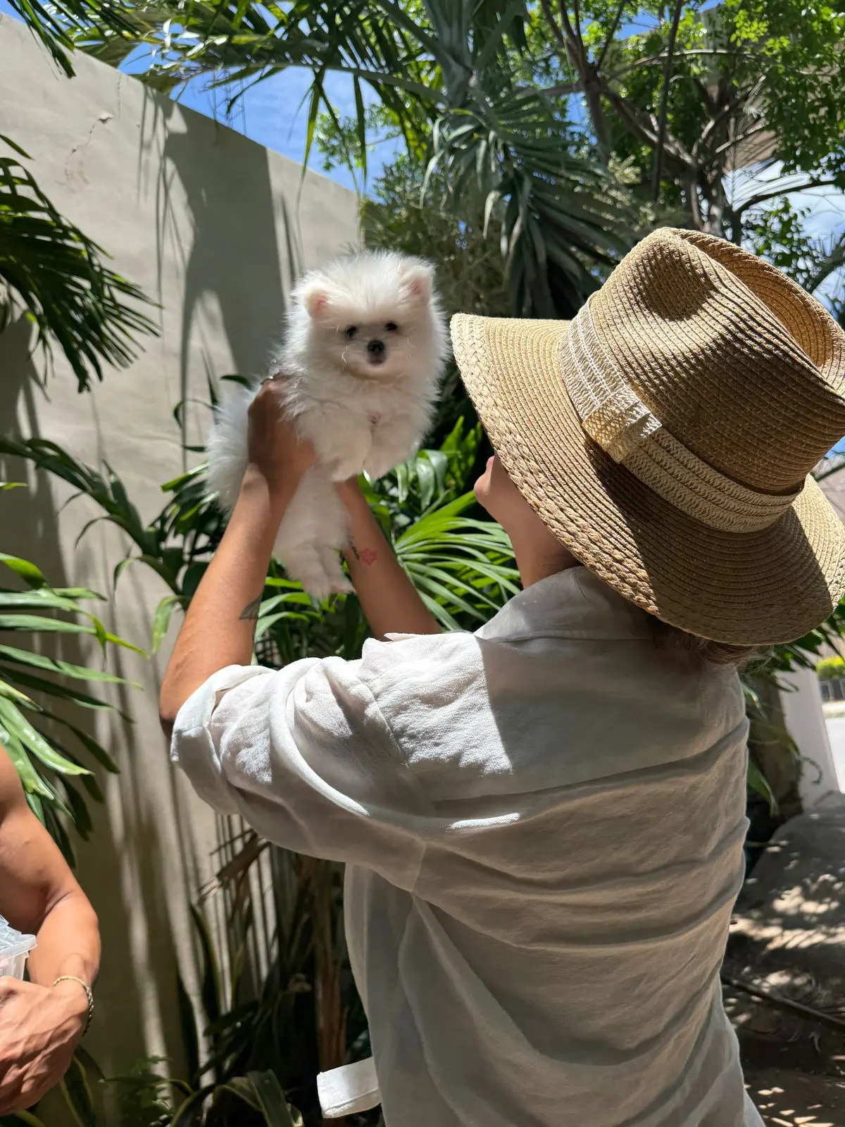 Entrega de cachorro Pom Pom GLAMI con trato familiar.